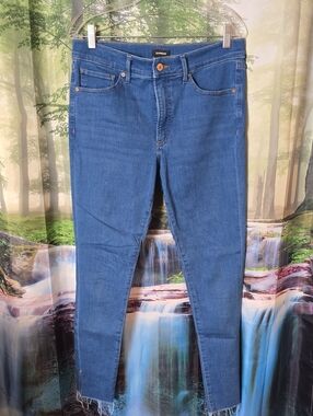 Express Classic Skinny Jeans in Blue